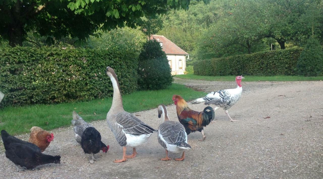Rouge Maison Bois-Normand-près-Lyre Kültér fotó